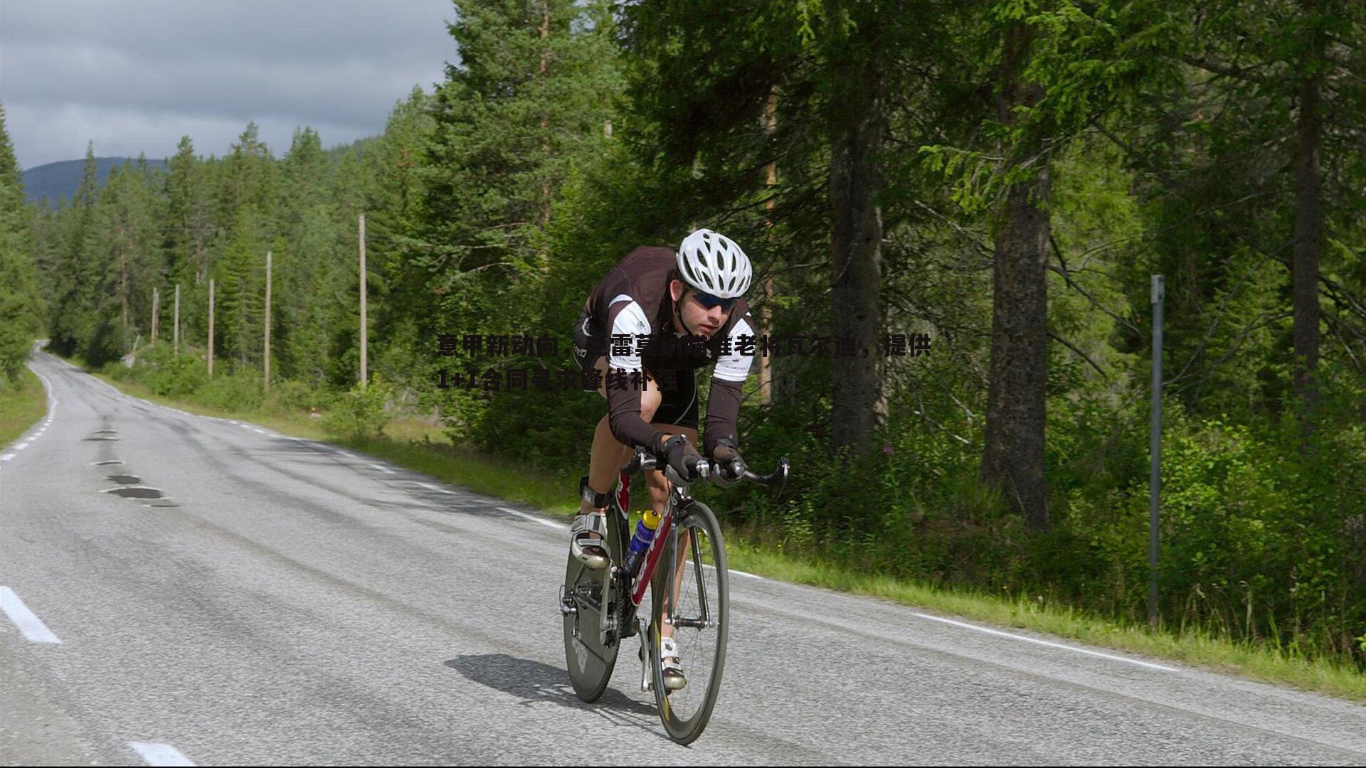 意甲新动向，克雷莫纳瞄准老将瓦尔迪，提供1+1合同寻求锋线补强